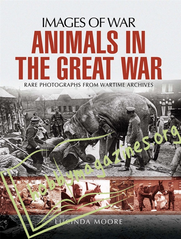 Images of War: Animals in the Great War