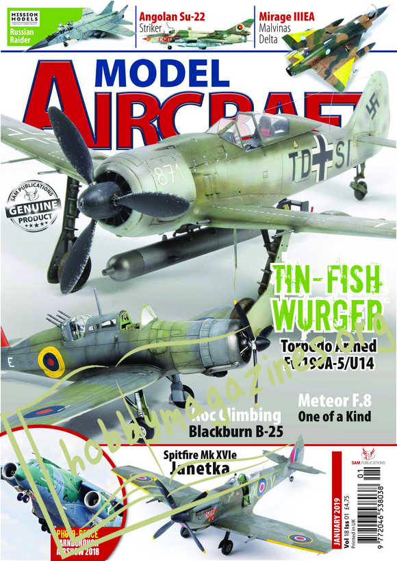 M.Aircraft – January 2019