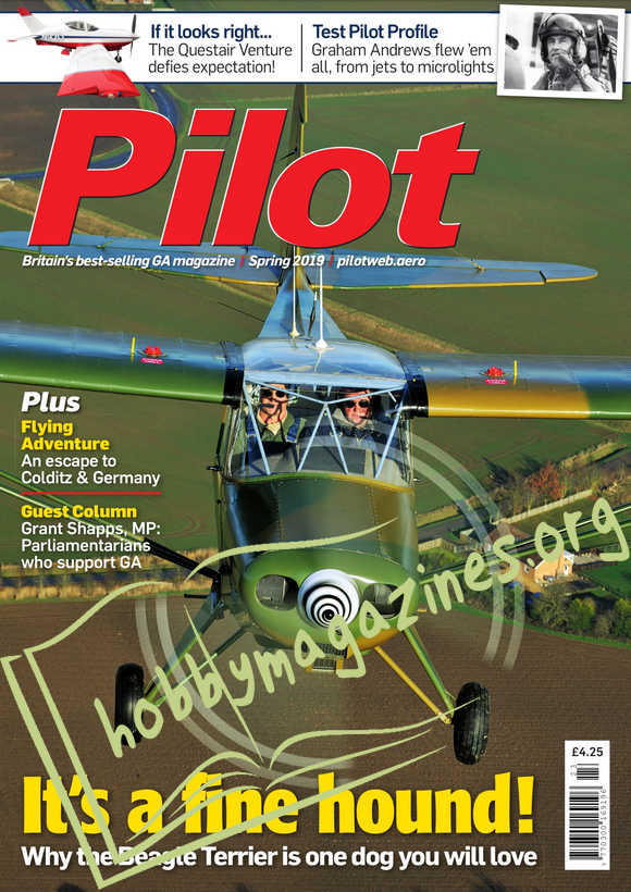 Pilot - Spring 2019