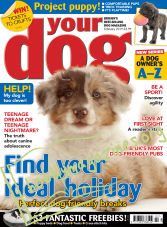 Your Dog - February 2019