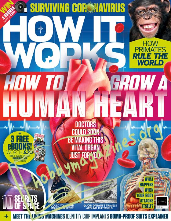 How It Works Issue 138