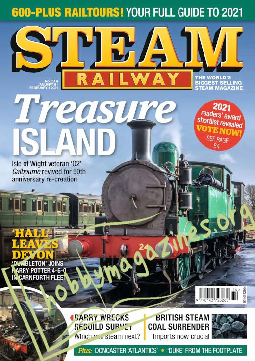 Steam Railway - 8 January 2021