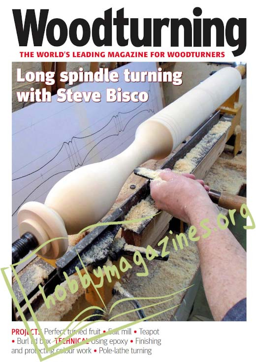 Woodturning Issue 355