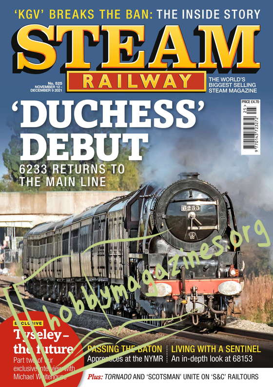 Steam Railway - 12 November 2021