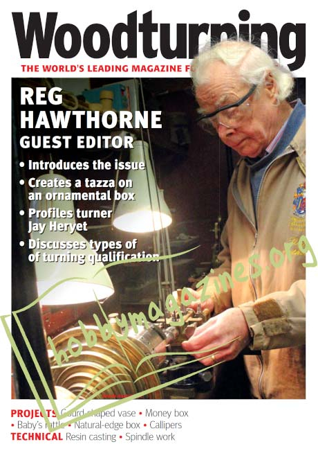 Woodturning Issue 369 