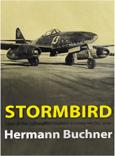 Stormbird