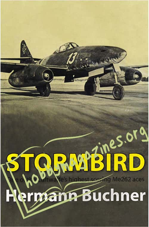 Stormbird