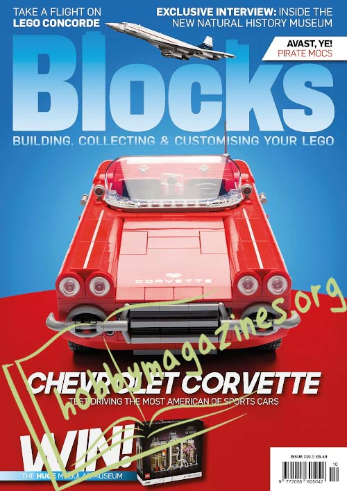 Blocks Issue 110