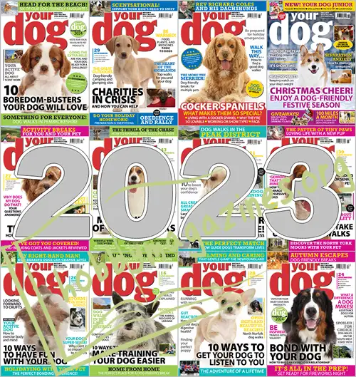 Your Dog 2023 All Issues in ZIP Archive